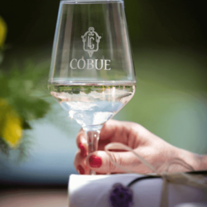 Visita in cantina e degustazione 5 vini Azienda Agricola Cobue