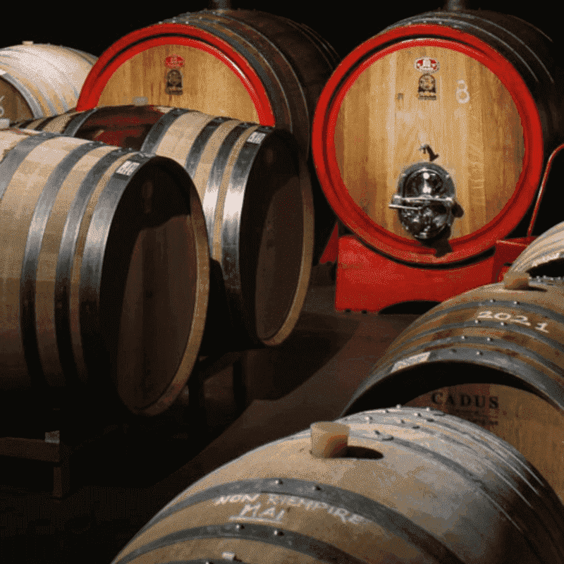 Visita in Cantina e degustazione premium Azienda Agricola Cobue