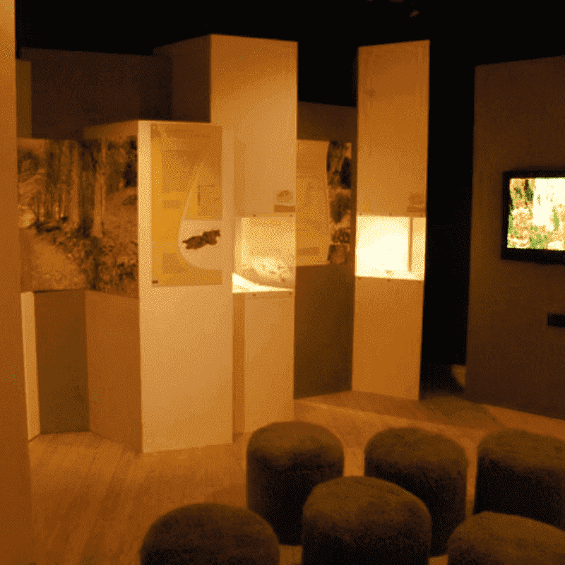 Museo Botanico Don Pietro Porta
