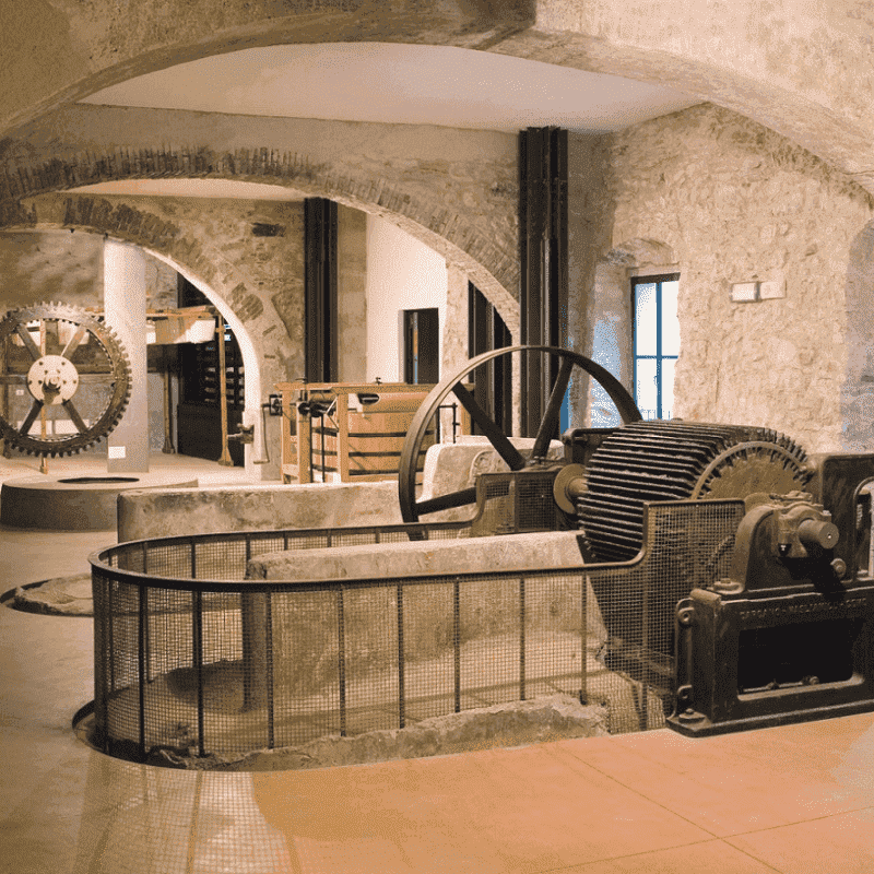Museo della Carta