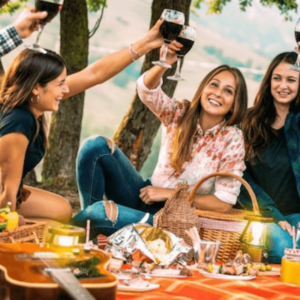 Picnic in Vigna Visita in Cantina La perla del Garda