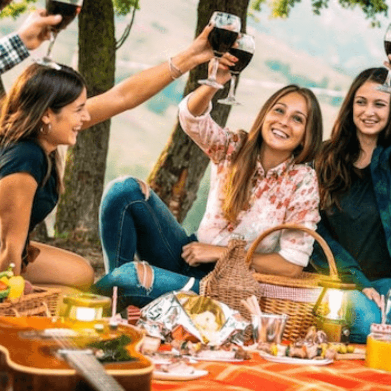 Picnic in Vigna Visita in Cantina La perla del Garda
