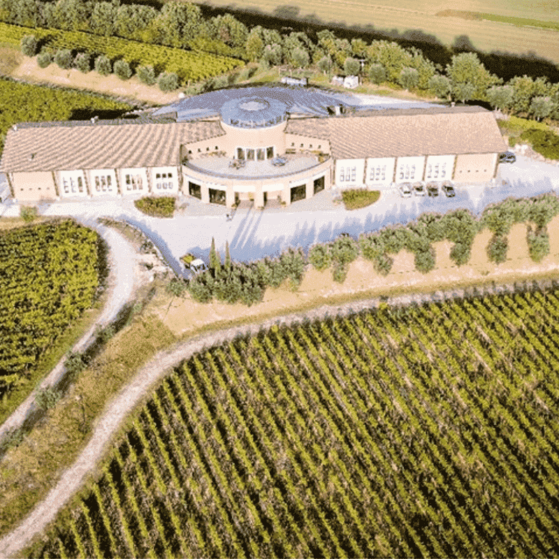 Visita in Cantina La Perla del Garda