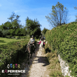 Passeggiata di gruppo a Cavallo Lago di Garda