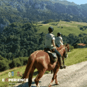 Passeggiata di gruppo a Cavallo Lago di Garda