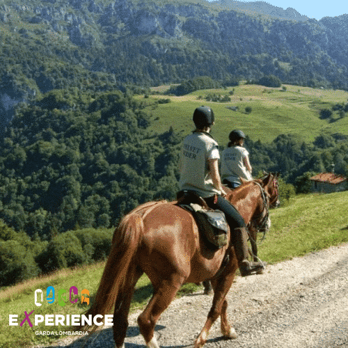 Collines et panoramas de Garda