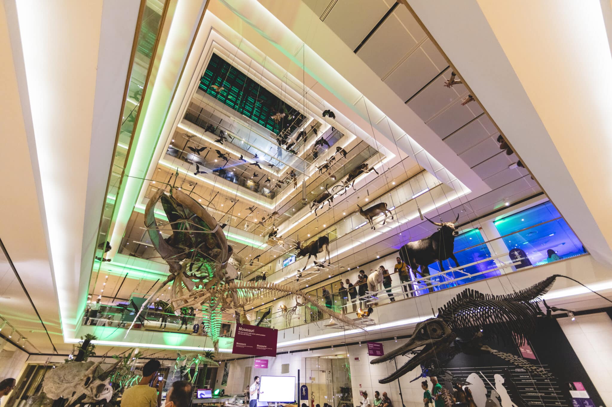 Museo delle Scienze