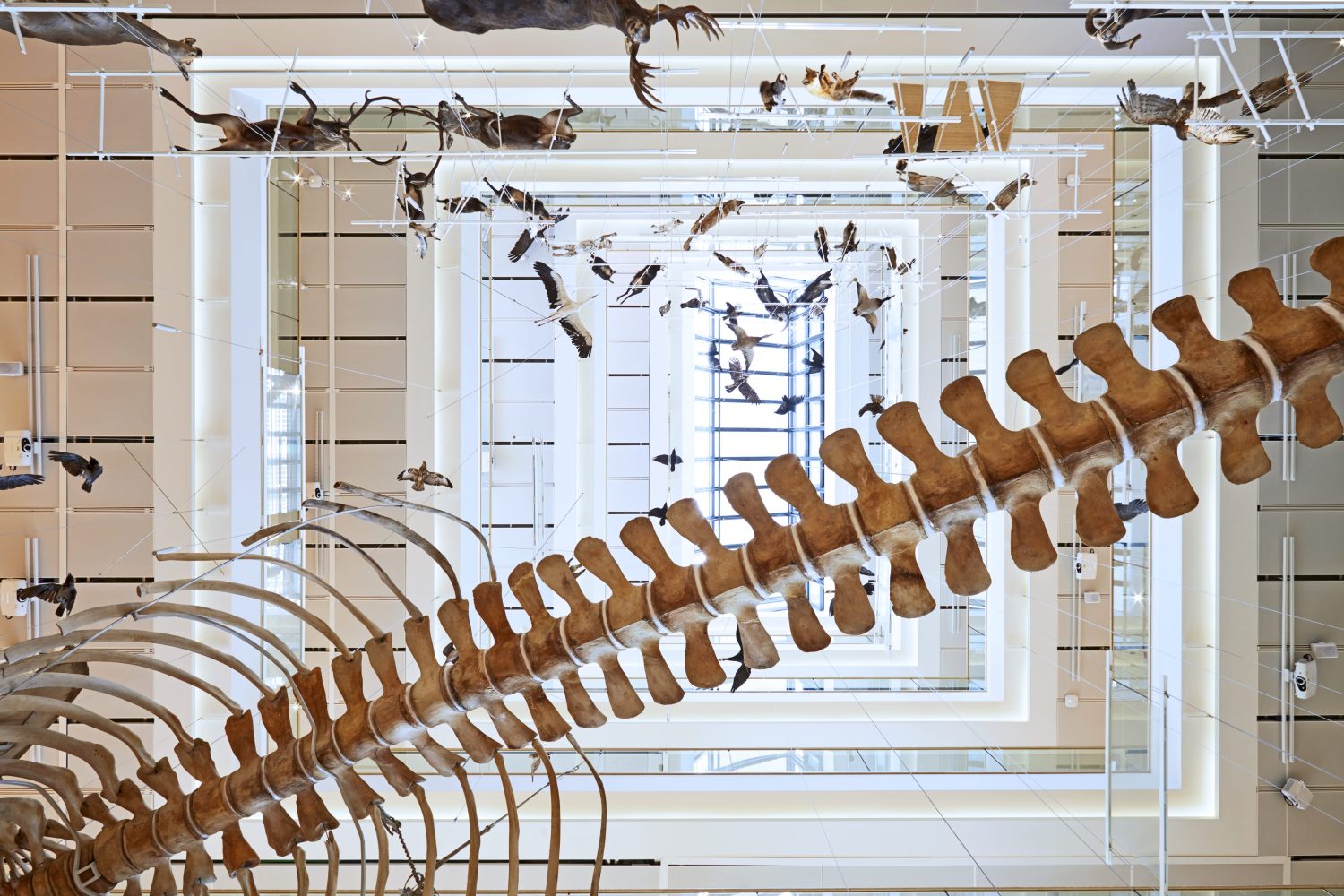 Museo delle Scienze