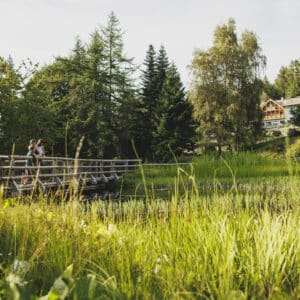 Giardino Botanico Alpino Viote Museo delle Scienze